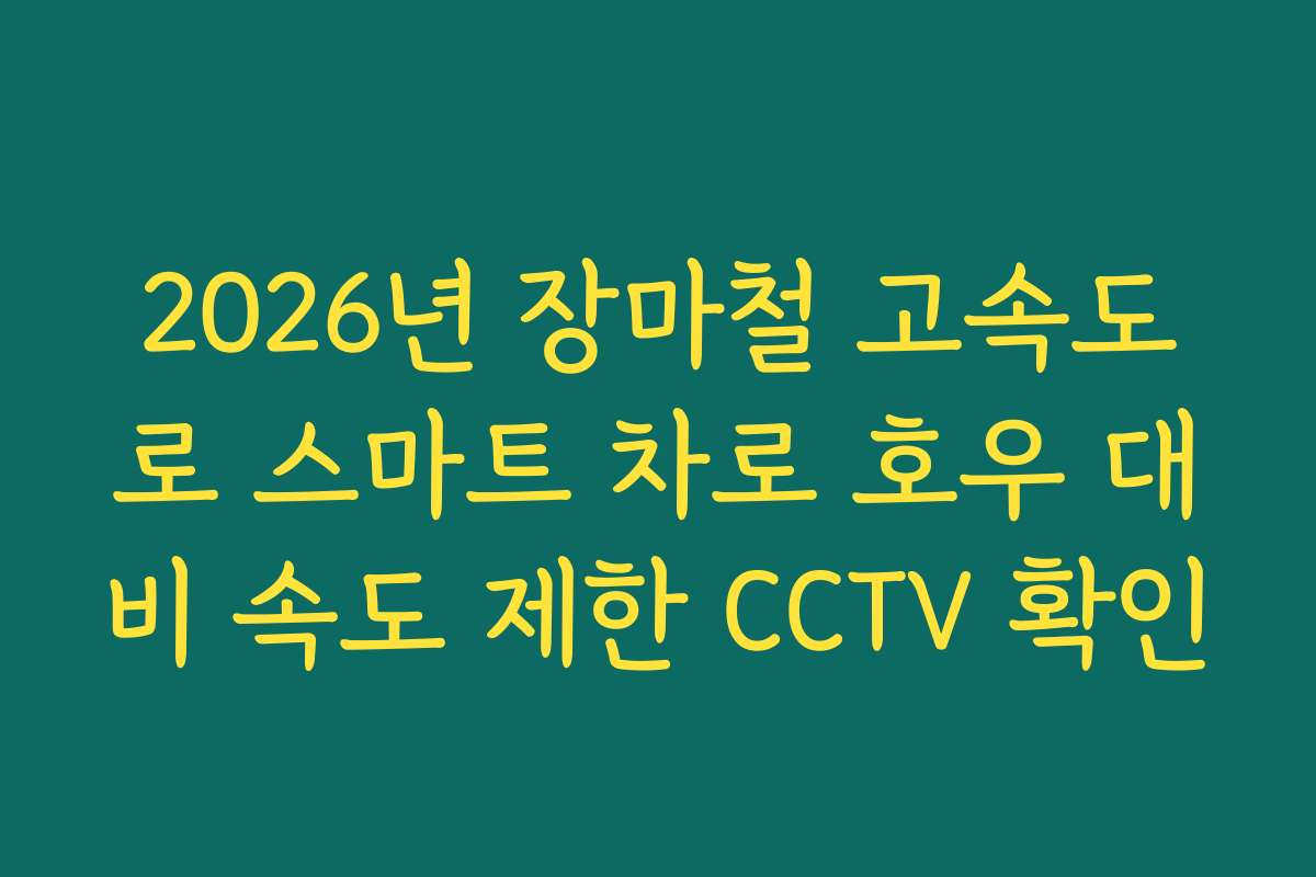 2026년 장마철 고속도로 스마트 차로 호우 대비 속도 제한 CCTV 확인
