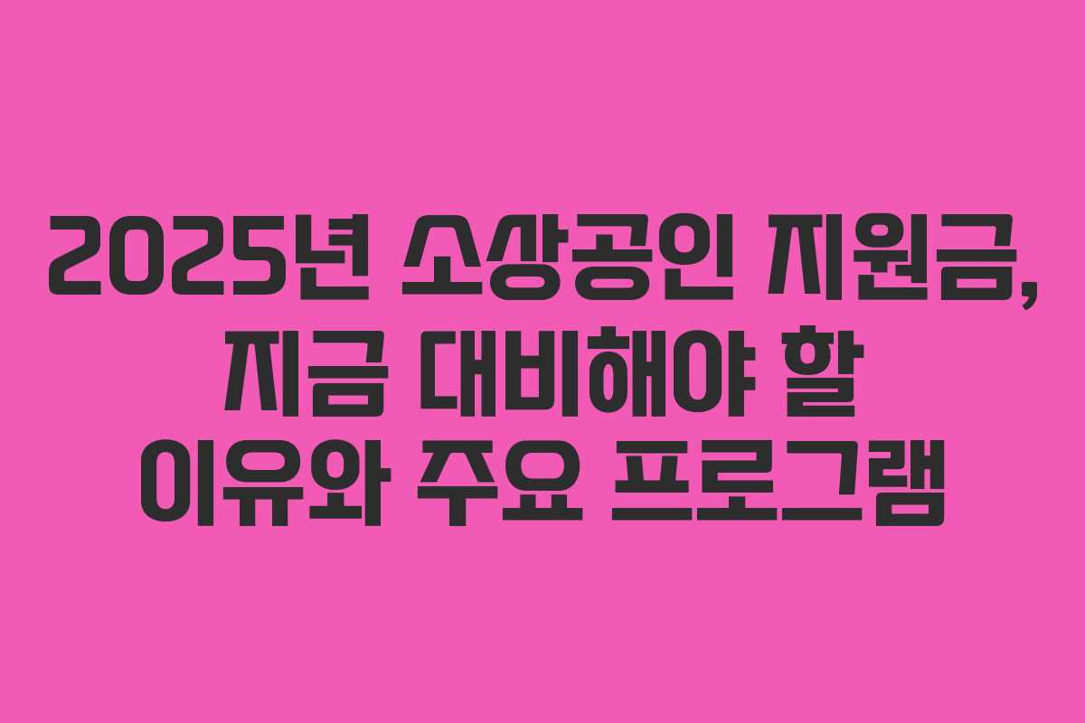 2025년 소상공인 지원금, 지금 대비해야 할 이유와 주요 프로그램