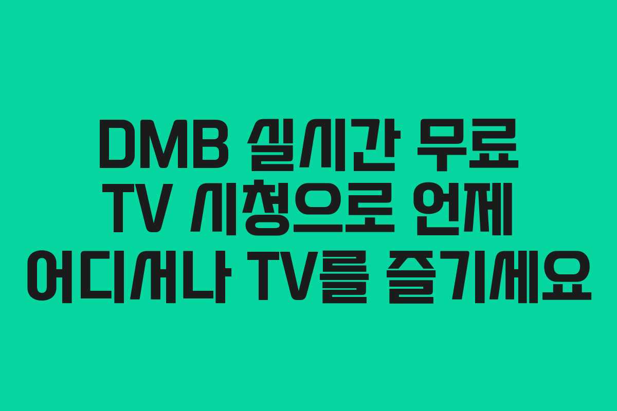 DMB 실시간 무료 TV 시청으로 언제 어디서나 TV를 즐기세요