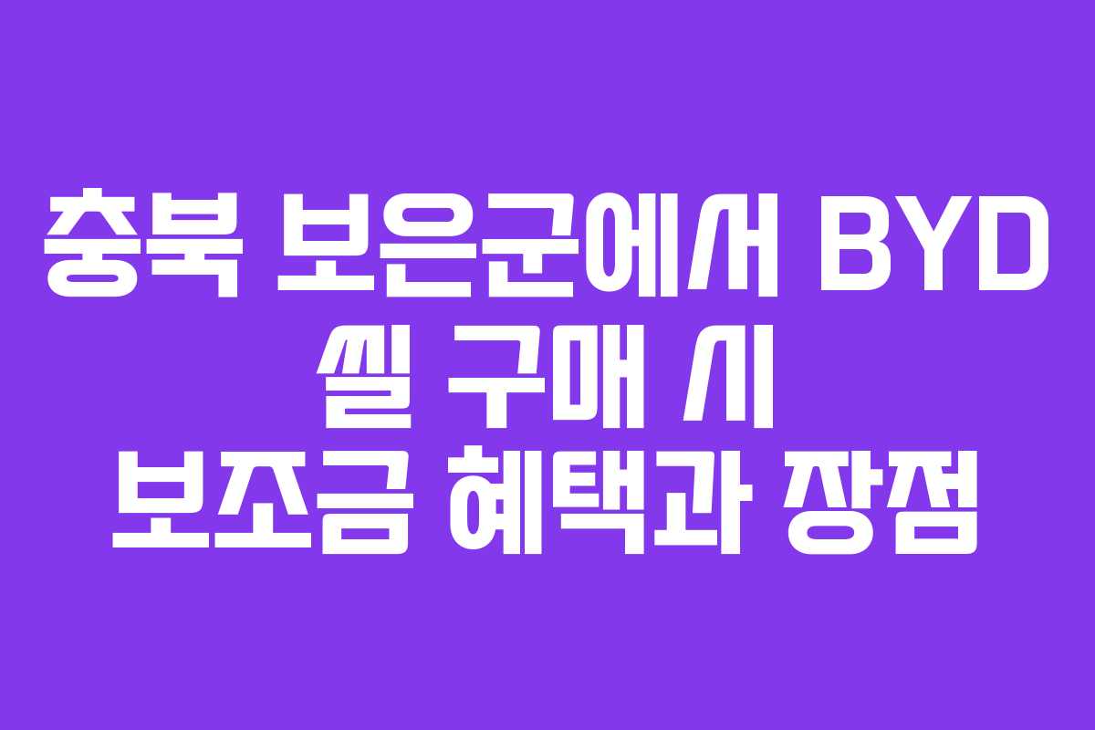 충북 보은군에서 BYD 씰 구매 시 보조금 혜택과 장점