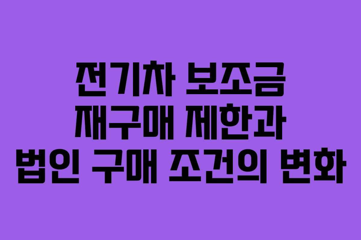 전기차 보조금 재구매 제한과 법인 구매 조건의 변화