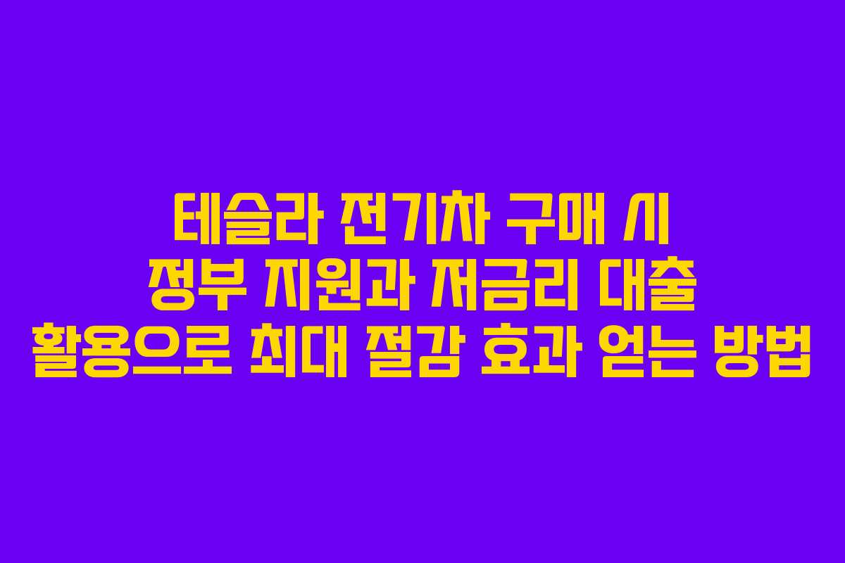 테슬라 전기차 구매 시 정부 지원과 저금리 대출 활용으로 최대 절감 효과 얻는 방법