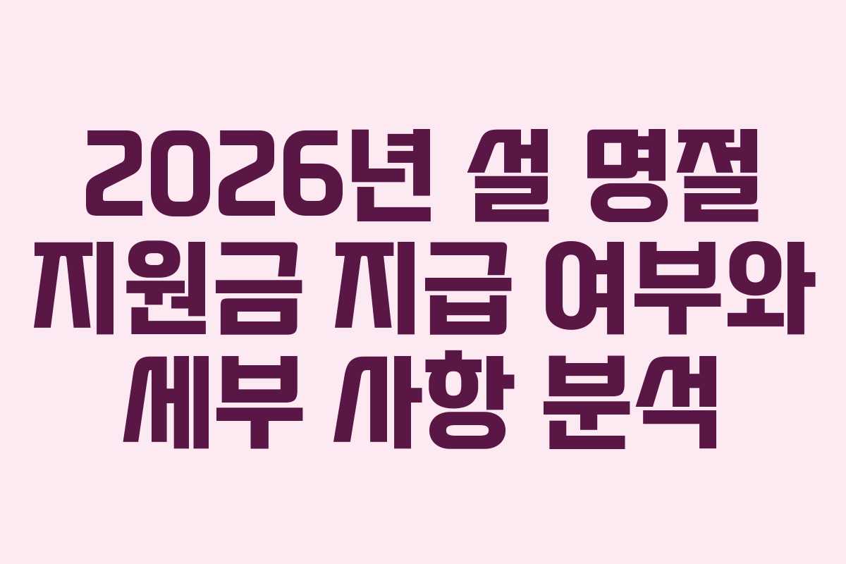 2026년 설 명절 지원금 지급 여부와 세부 사항 분석