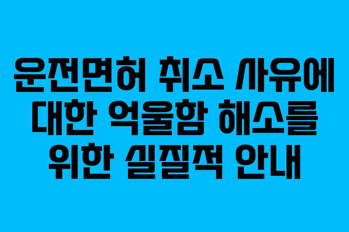 운전면허 취소 사유에 대한 억울함 해소를 위한 실질적 안내