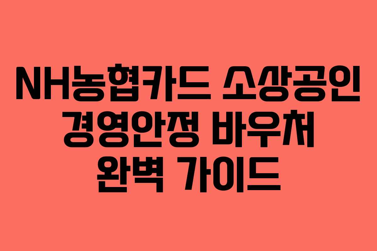 NH농협카드 소상공인 경영안정 바우처 완벽 가이드