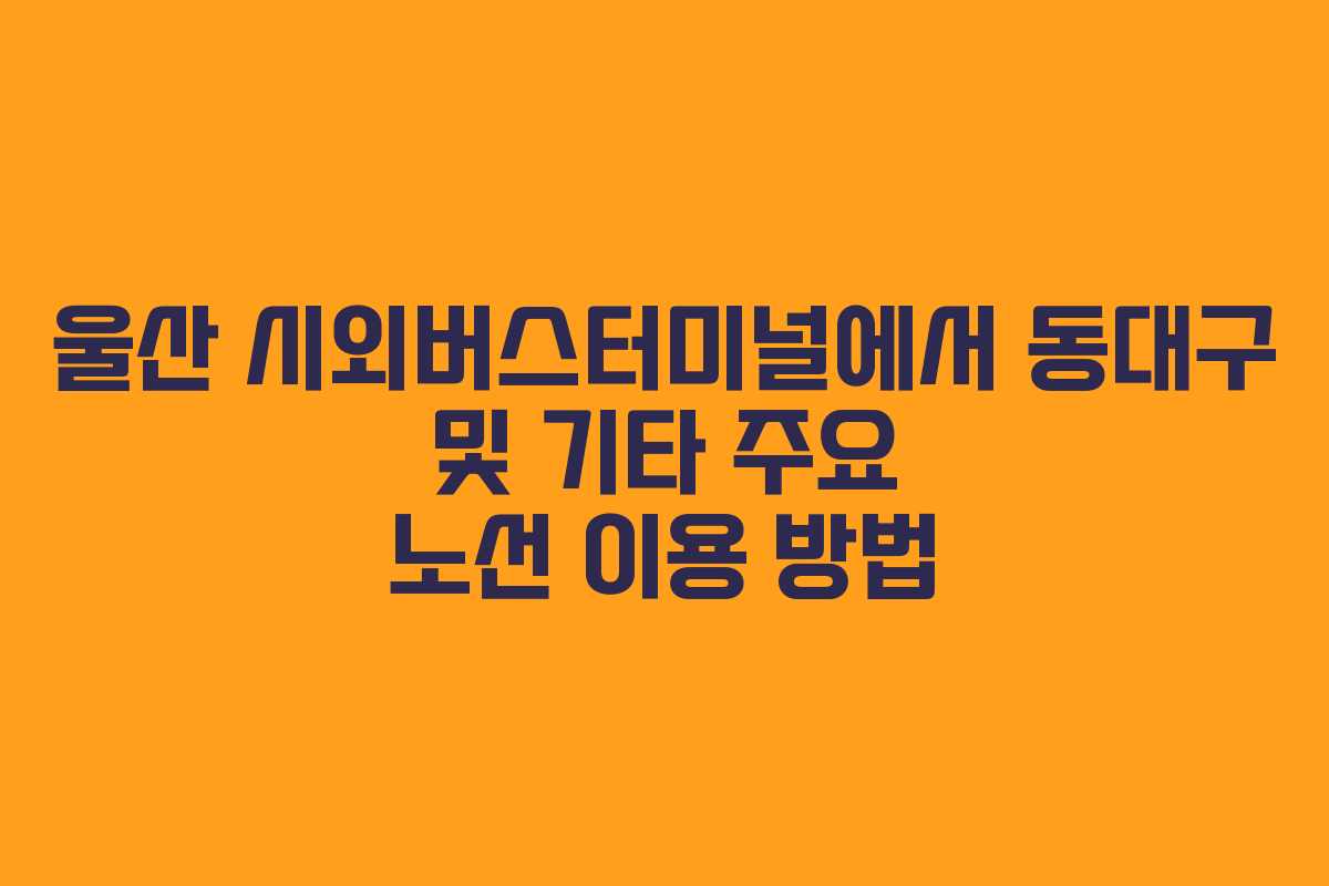 울산 시외버스터미널에서 동대구 및 기타 주요 노선 이용 방법