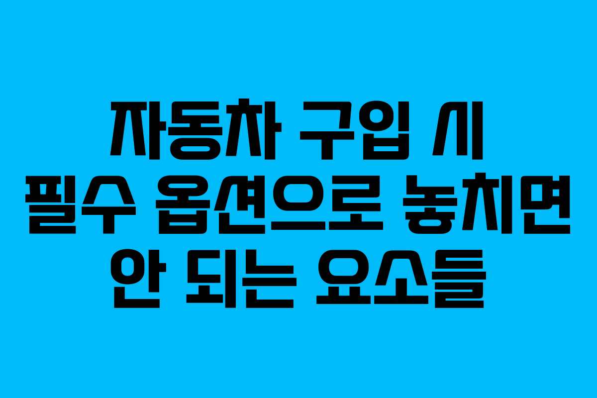 자동차 구입 시 필수 옵션으로 놓치면 안 되는 요소들
