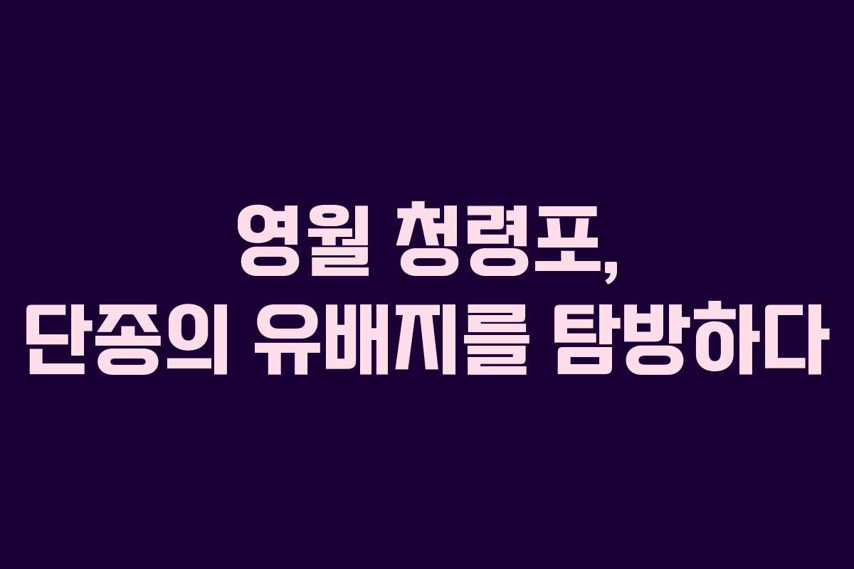 영월 청령포, 단종의 유배지를 탐방하다