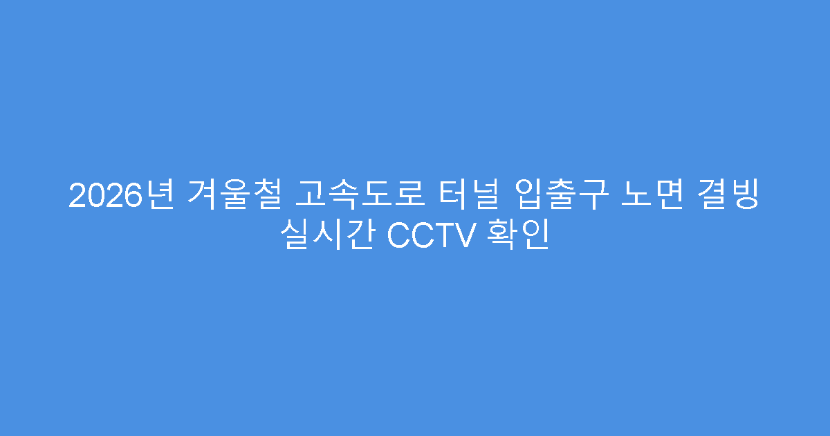 2026년 겨울철 고속도로 터널 입출구 노면 결빙 실시간 CCTV 확인