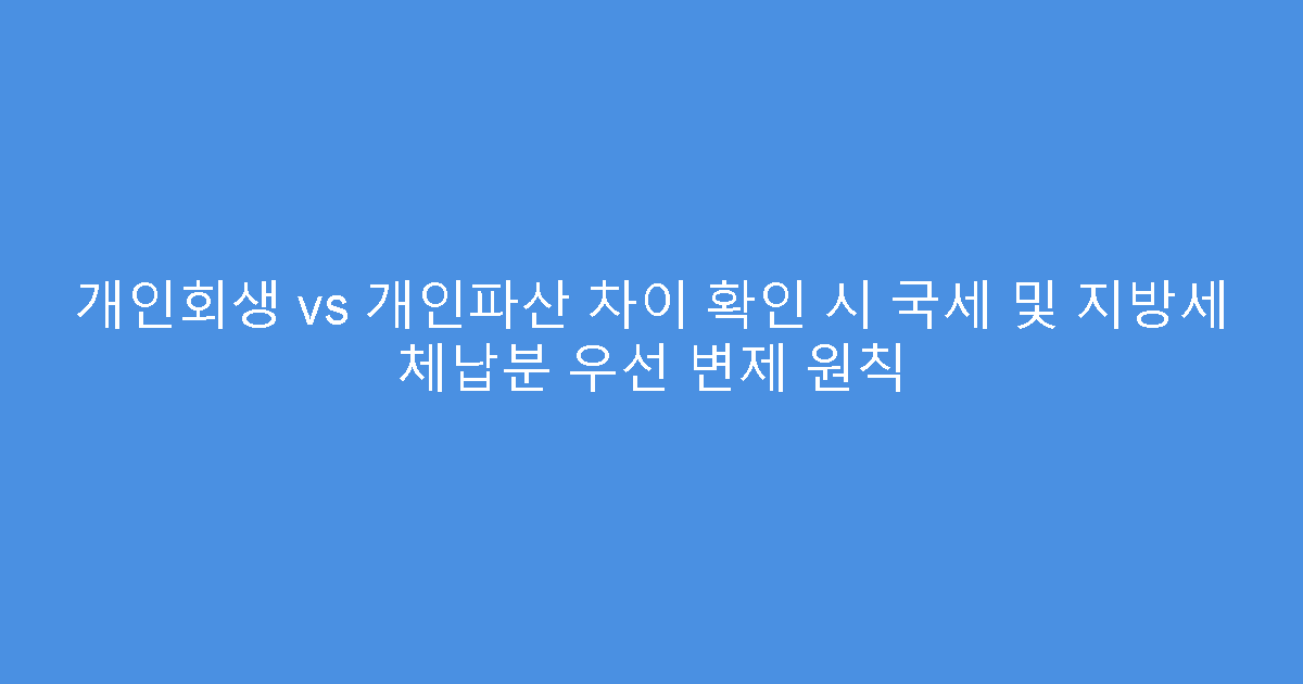 개인회생 vs 개인파산 차이 확인 시 국세 및 지방세 체납분 우선 변제 원칙