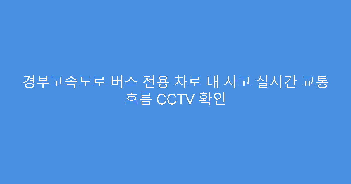 경부고속도로 버스 전용 차로 내 사고 실시간 교통 흐름 CCTV 확인