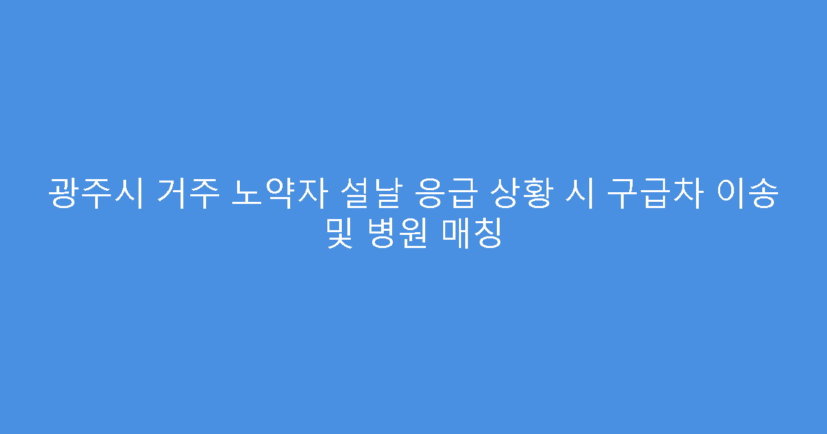 광주시 거주 노약자 설날 응급 상황 시 구급차 이송 및 병원 매칭