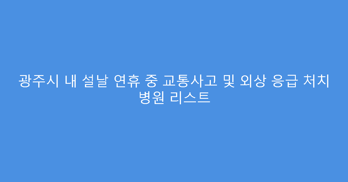 광주시 내 설날 연휴 중 교통사고 및 외상 응급 처치 병원 리스트