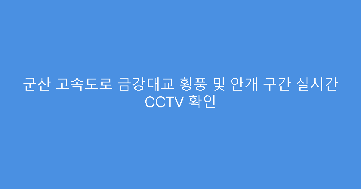 군산 고속도로 금강대교 횡풍 및 안개 구간 실시간 CCTV 확인