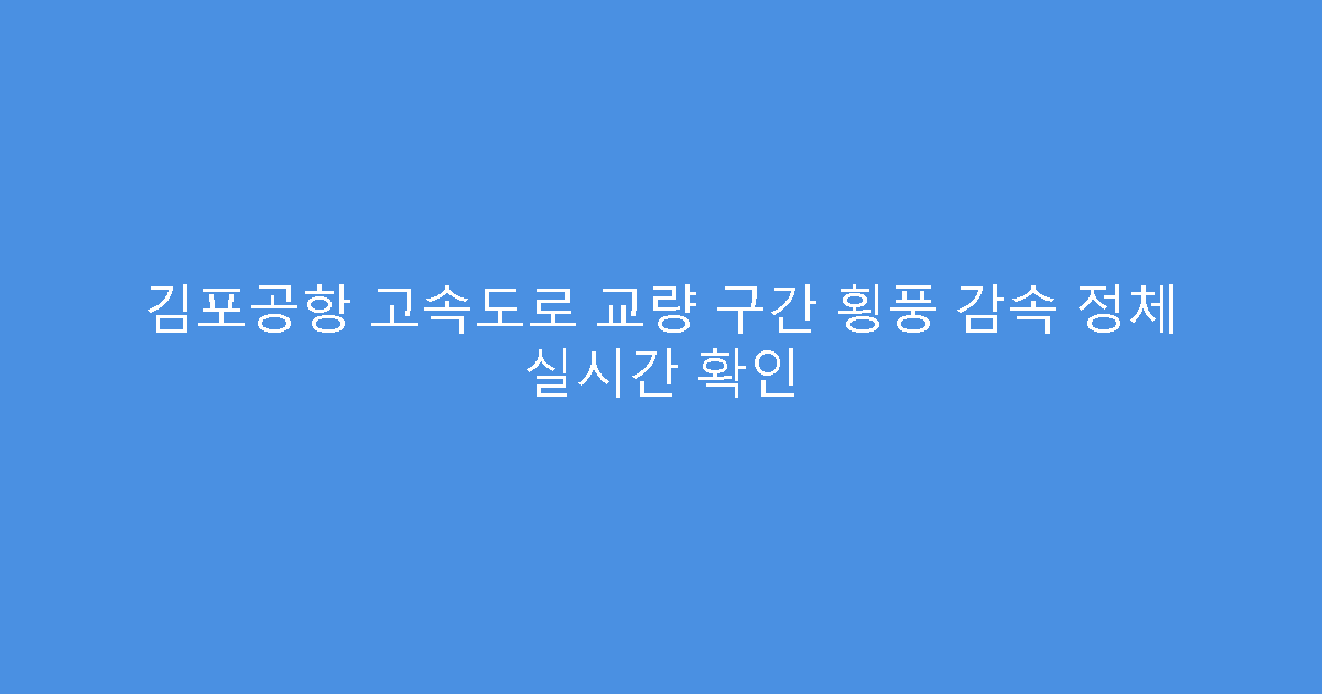 김포공항 고속도로 교량 구간 횡풍 감속 정체 실시간 확인