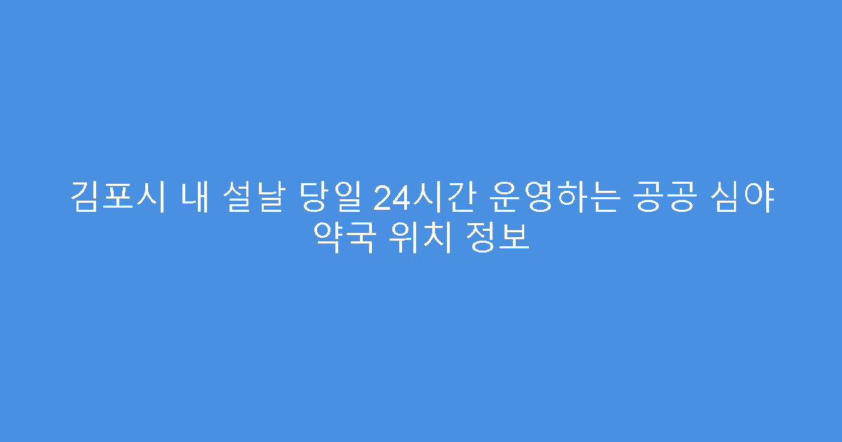 김포시 내 설날 당일 24시간 운영하는 공공 심야 약국 위치 정보