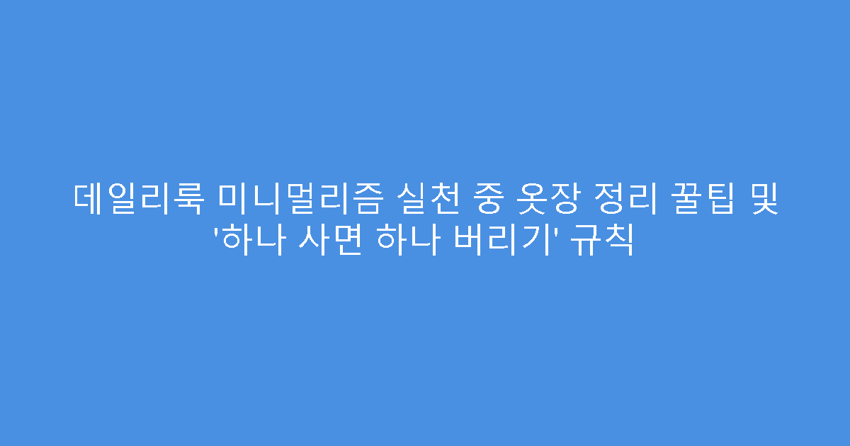 데일리룩 미니멀리즘 실천 중 옷장 정리 꿀팁 및 ‘하나 사면 하나 버리기’ 규칙