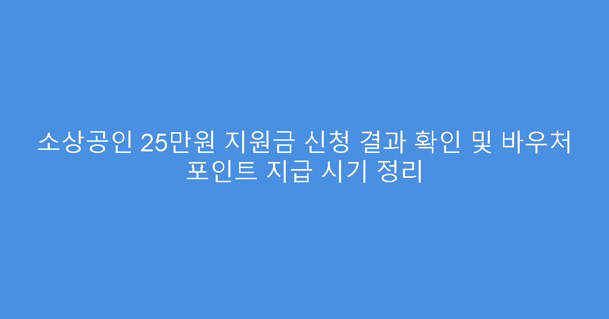 소상공인 25만원 지원금 신청 결과 확인 및 바우처 포인트 지급 시기 정리