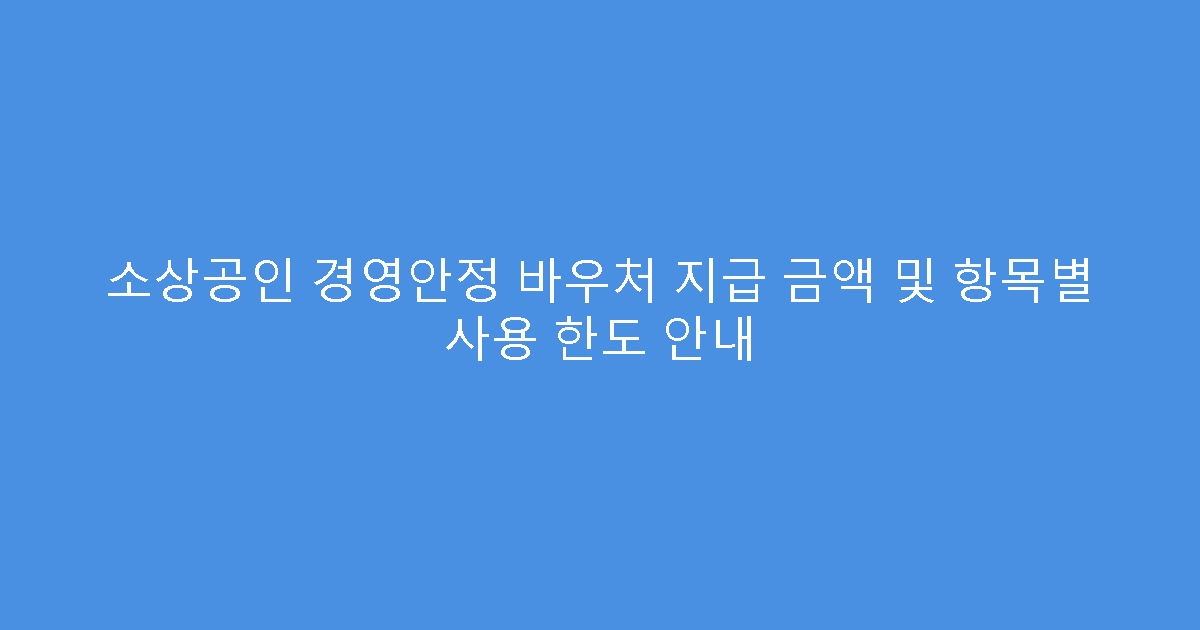 소상공인 경영안정 바우처 지급 금액 및 항목별 사용 한도 안내