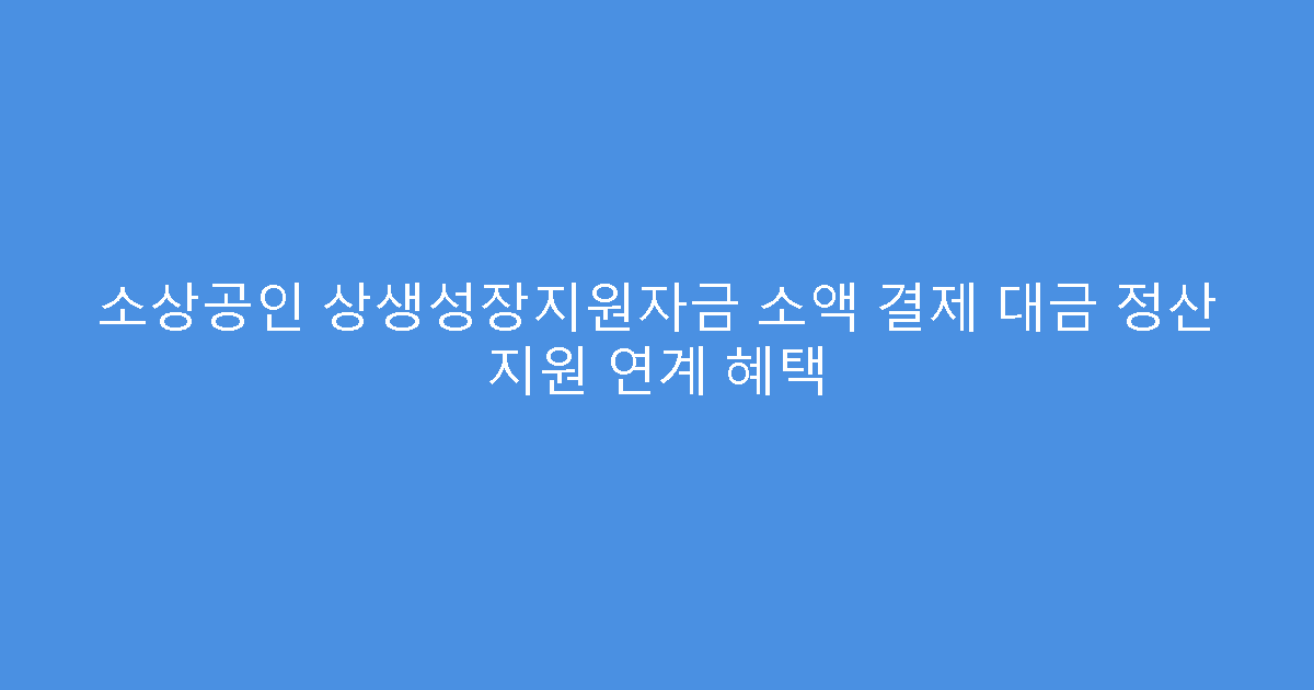 소상공인 상생성장지원자금 소액 결제 대금 정산 지원 연계 혜택