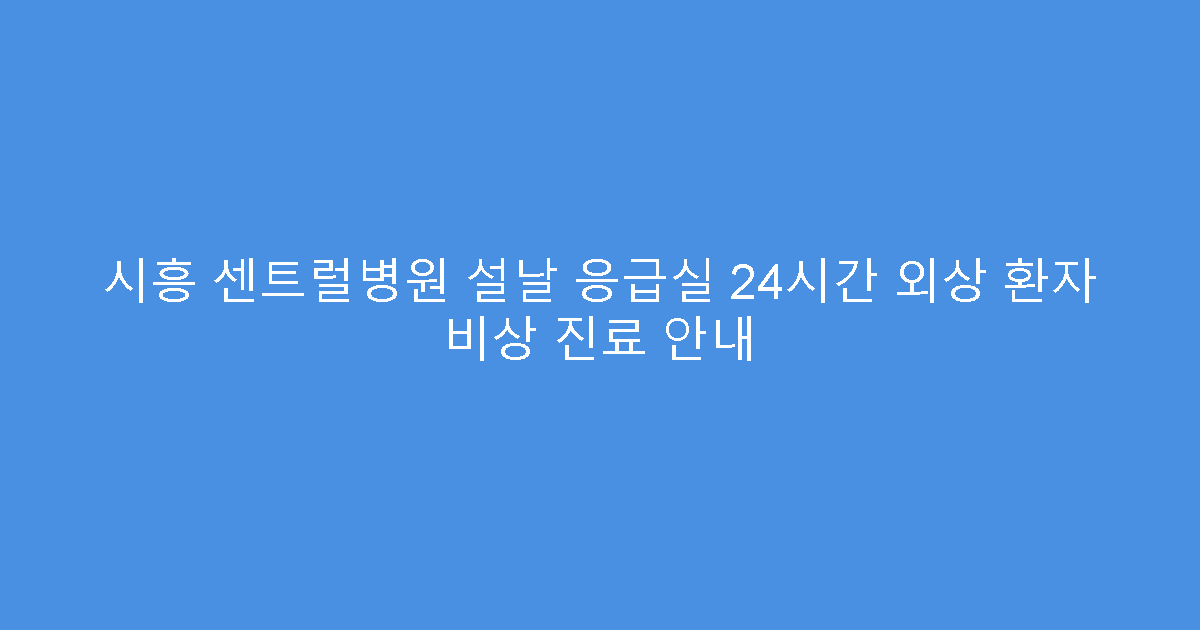 시흥 센트럴병원 설날 응급실 24시간 외상 환자 비상 진료 안내