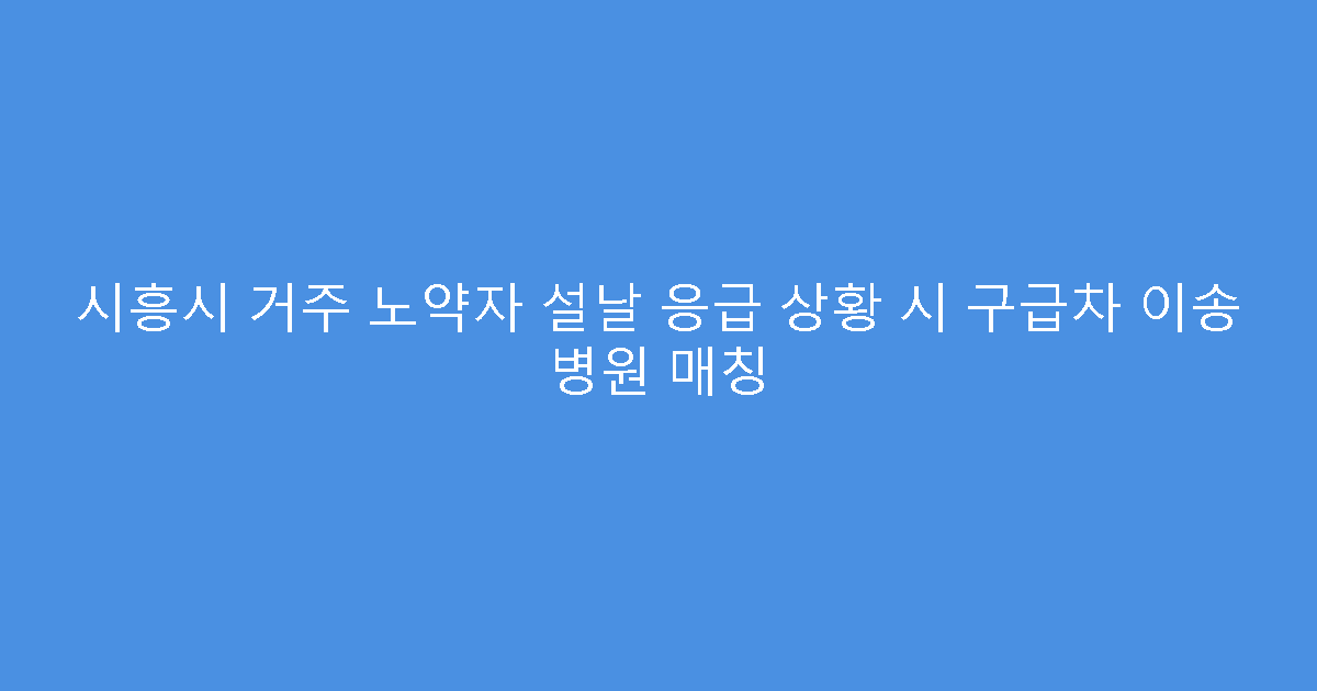 시흥시 거주 노약자 설날 응급 상황 시 구급차 이송 병원 매칭