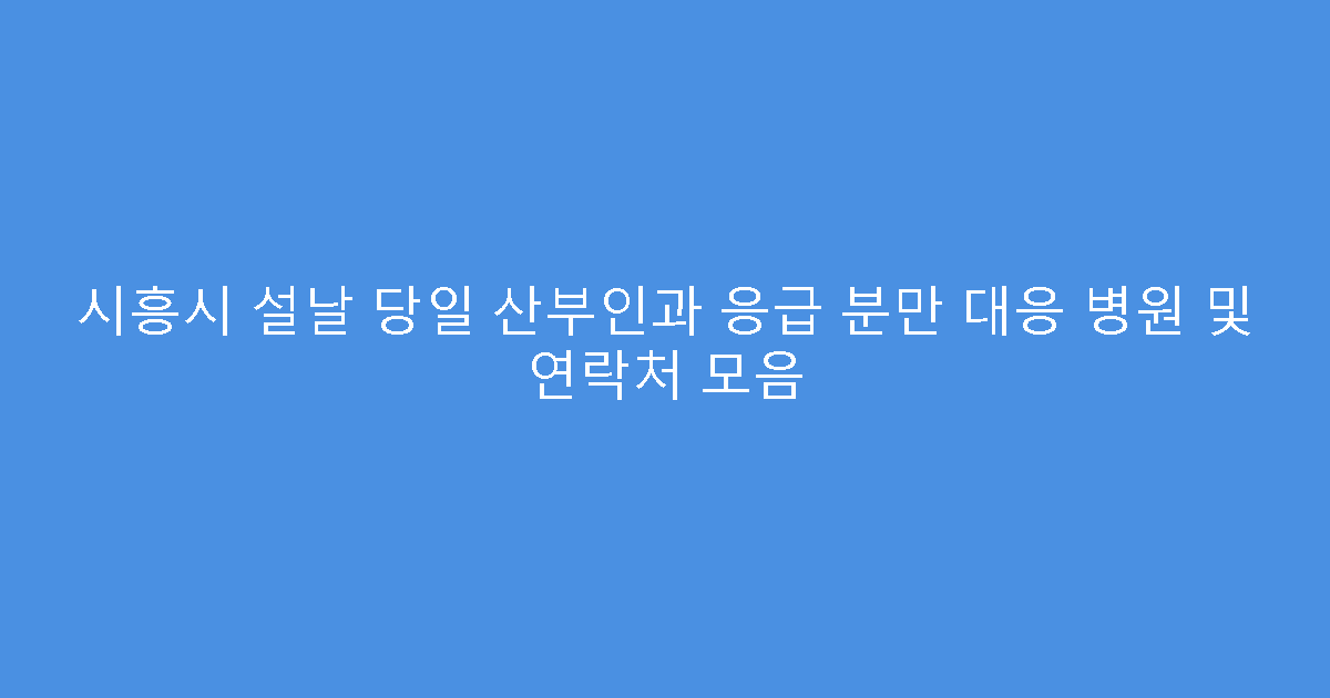시흥시 설날 당일 산부인과 응급 분만 대응 병원 및 연락처 모음