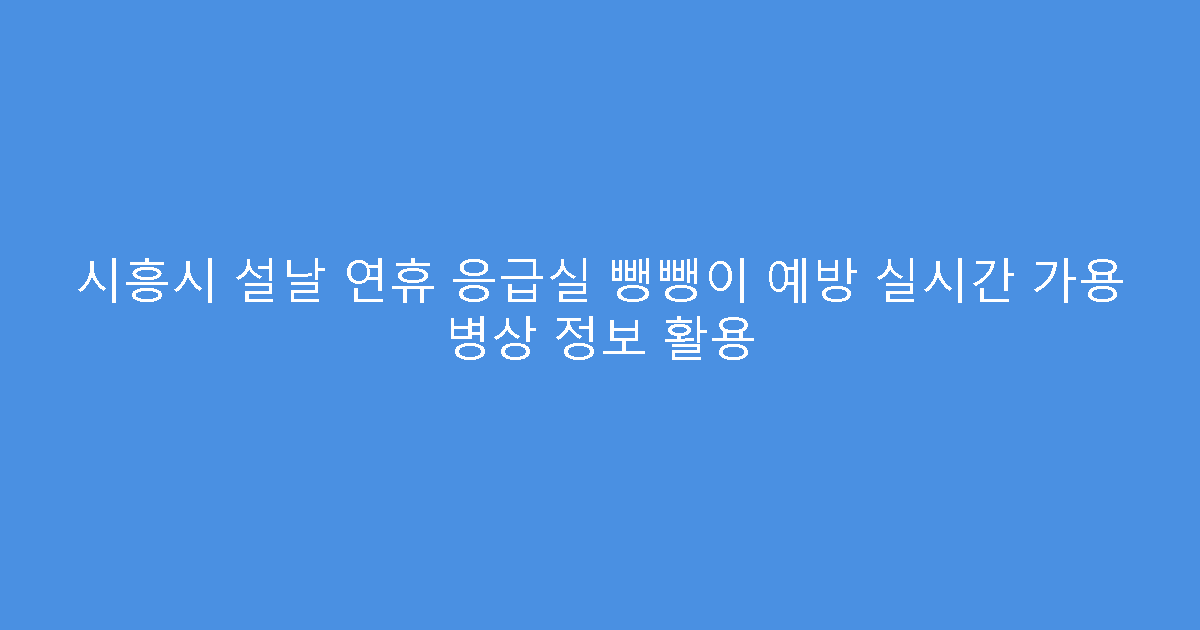 시흥시 설날 연휴 응급실 뺑뺑이 예방 실시간 가용 병상 정보 활용