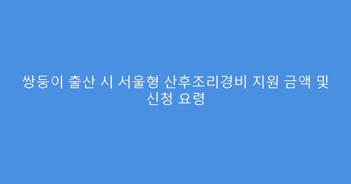 쌍둥이 출산 시 서울형 산후조리경비 지원 금액 및 신청 요령