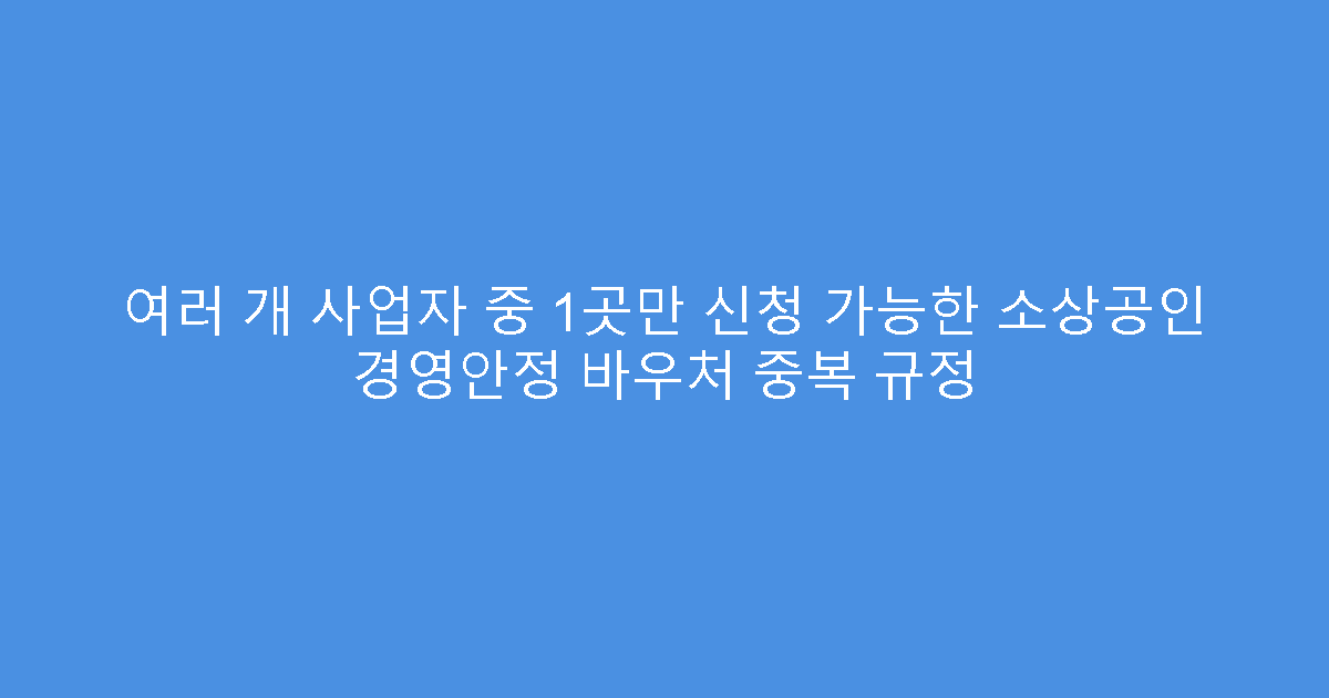 여러 개 사업자 중 1곳만 신청 가능한 소상공인 경영안정 바우처 중복 규정