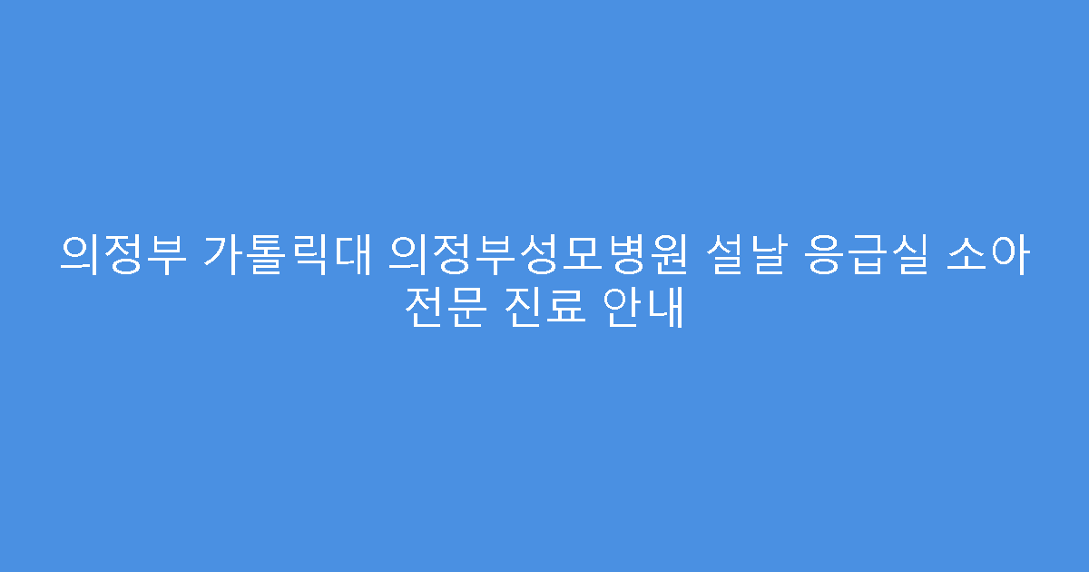 의정부 가톨릭대 의정부성모병원 설날 응급실 소아 전문 진료 안내