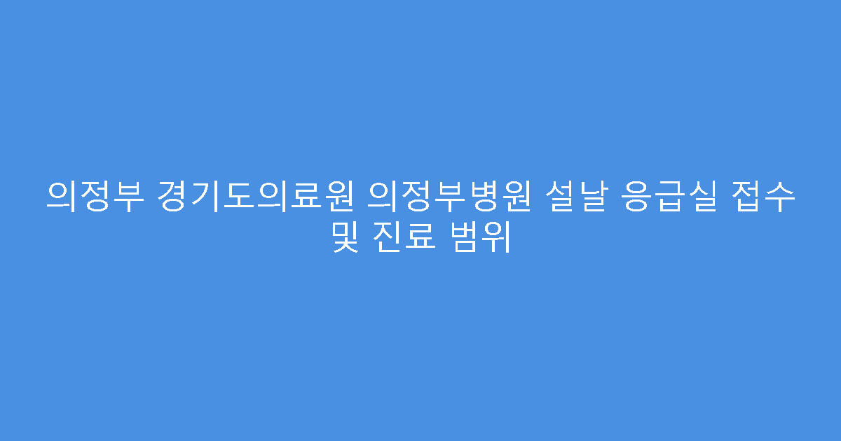 의정부 경기도의료원 의정부병원 설날 응급실 접수 및 진료 범위