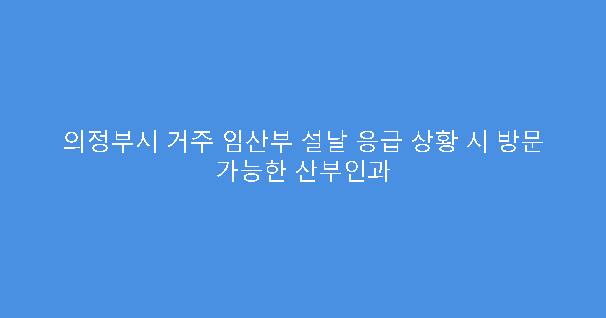 의정부시 거주 임산부 설날 응급 상황 시 방문 가능한 산부인과