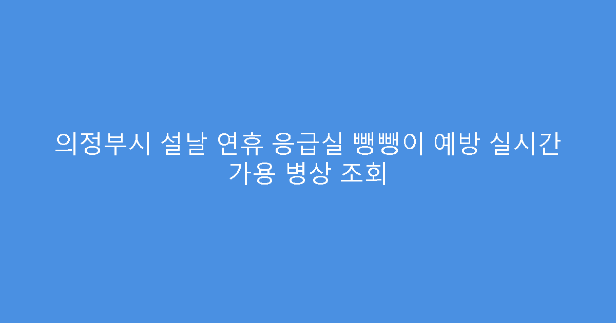 의정부시 설날 연휴 응급실 뺑뺑이 예방 실시간 가용 병상 조회