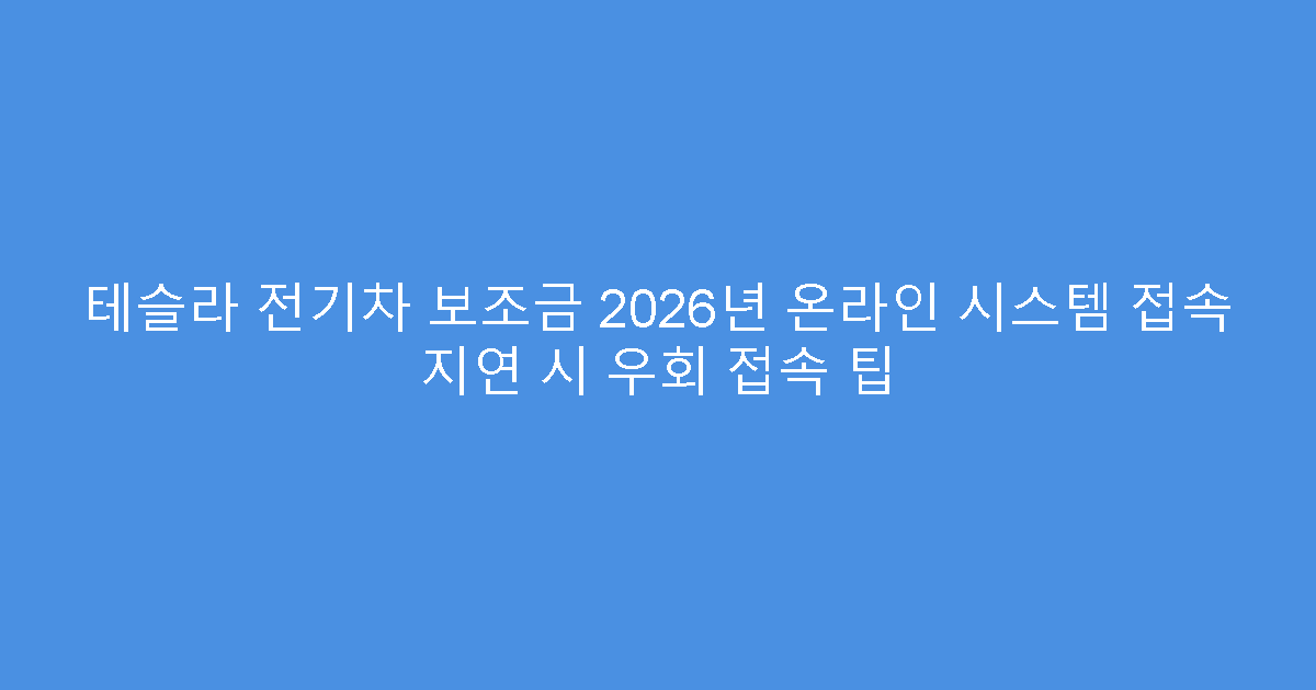 테슬라 전기차 보조금 2026년 온라인 시스템 접속 지연 시 우회 접속 팁