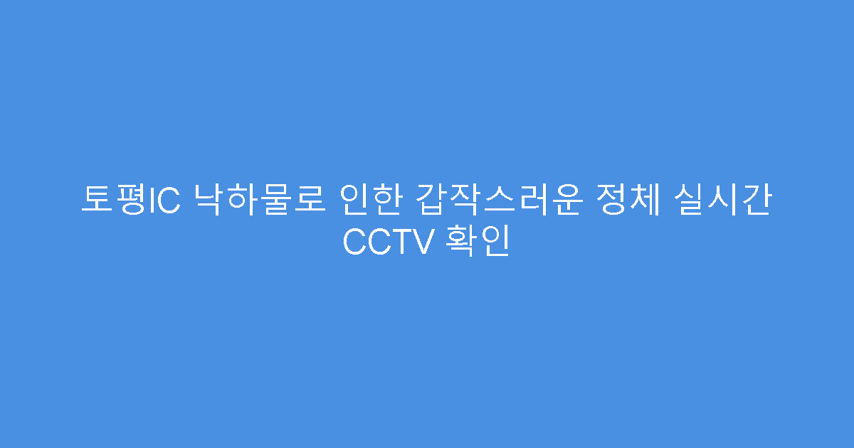 토평IC 낙하물로 인한 갑작스러운 정체 실시간 CCTV 확인