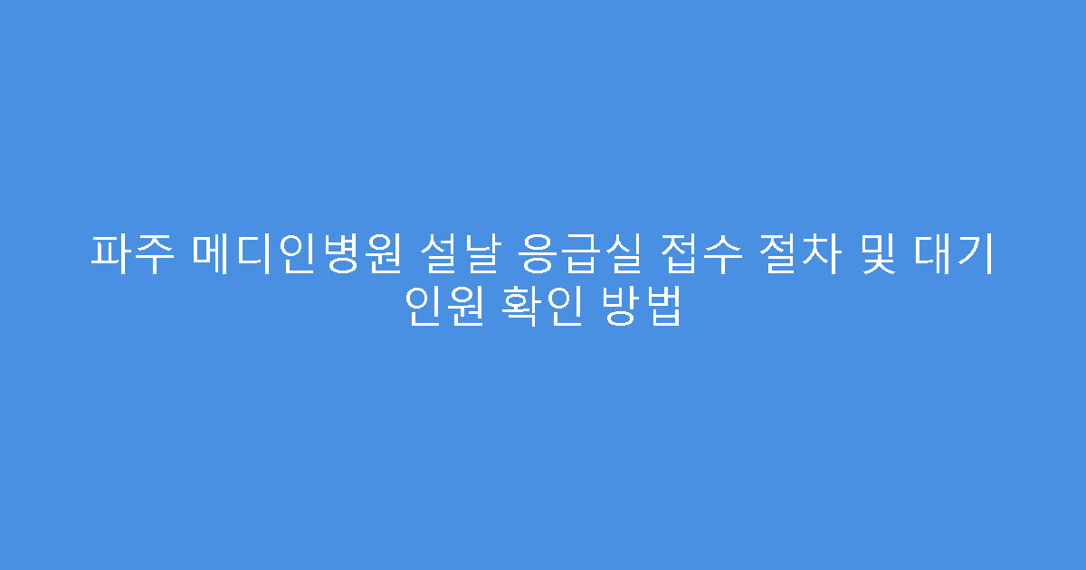 파주 메디인병원 설날 응급실 접수 절차 및 대기 인원 확인 방법