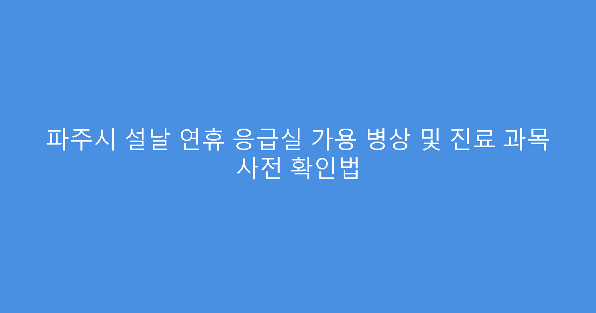 파주시 설날 연휴 응급실 가용 병상 및 진료 과목 사전 확인법