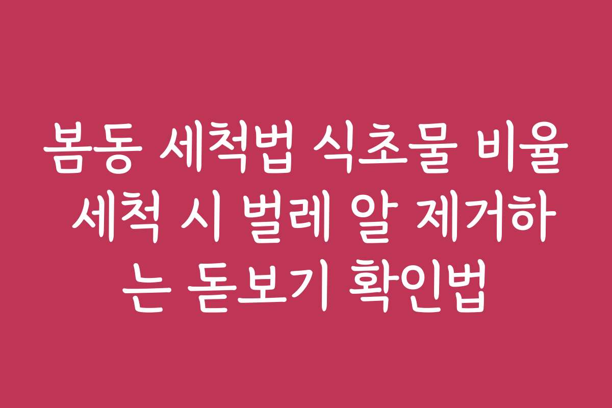 봄동 세척법 식초물 비율 세척 시 벌레 알 제거하는 돋보기 확인법