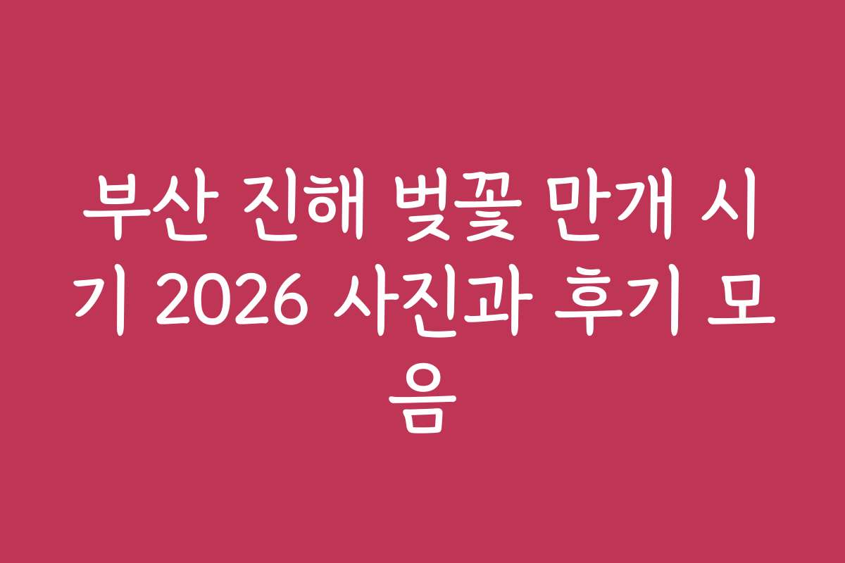 부산 진해 벚꽃 만개 시기 2026 사진과 후기 모음