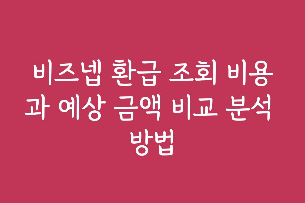 비즈넵 환급 조회 비용과 예상 금액 비교 분석 방법