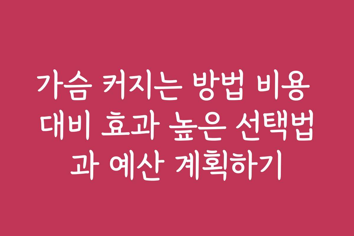 가슴 커지는 방법 비용 대비 효과 높은 선택법과 예산 계획하기