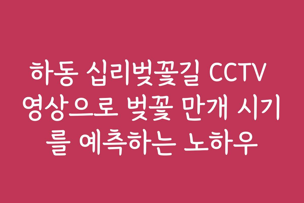 하동 십리벚꽃길 CCTV 영상으로 벚꽃 만개 시기를 예측하는 노하우
