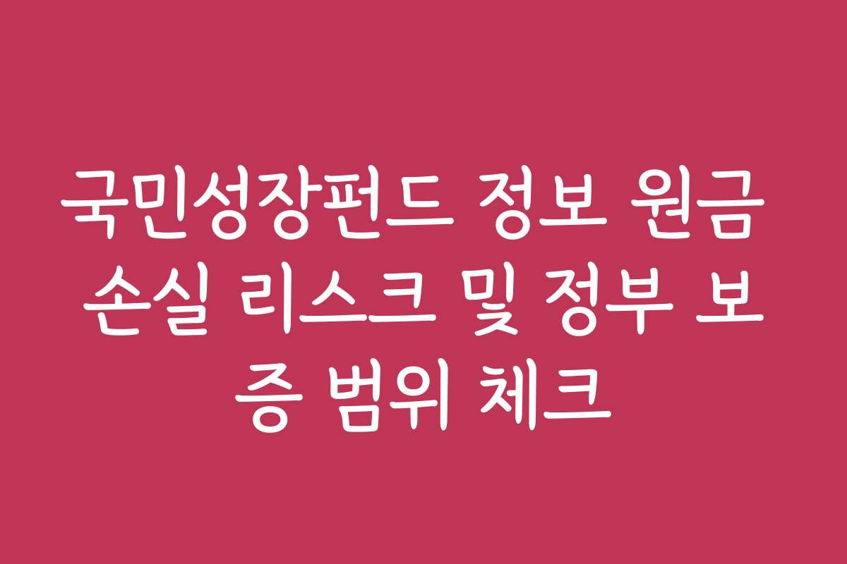 국민성장펀드 정보 원금 손실 리스크 및 정부 보증 범위 체크