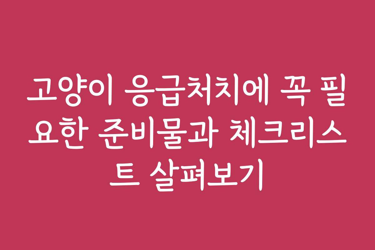 고양이 응급처치에 꼭 필요한 준비물과 체크리스트 살펴보기