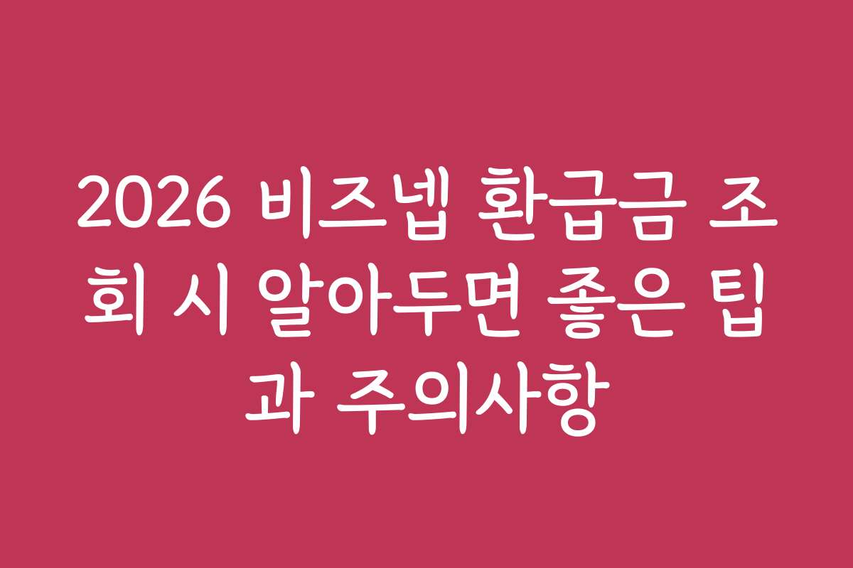 2026 비즈넵 환급금 조회 시 알아두면 좋은 팁과 주의사항
