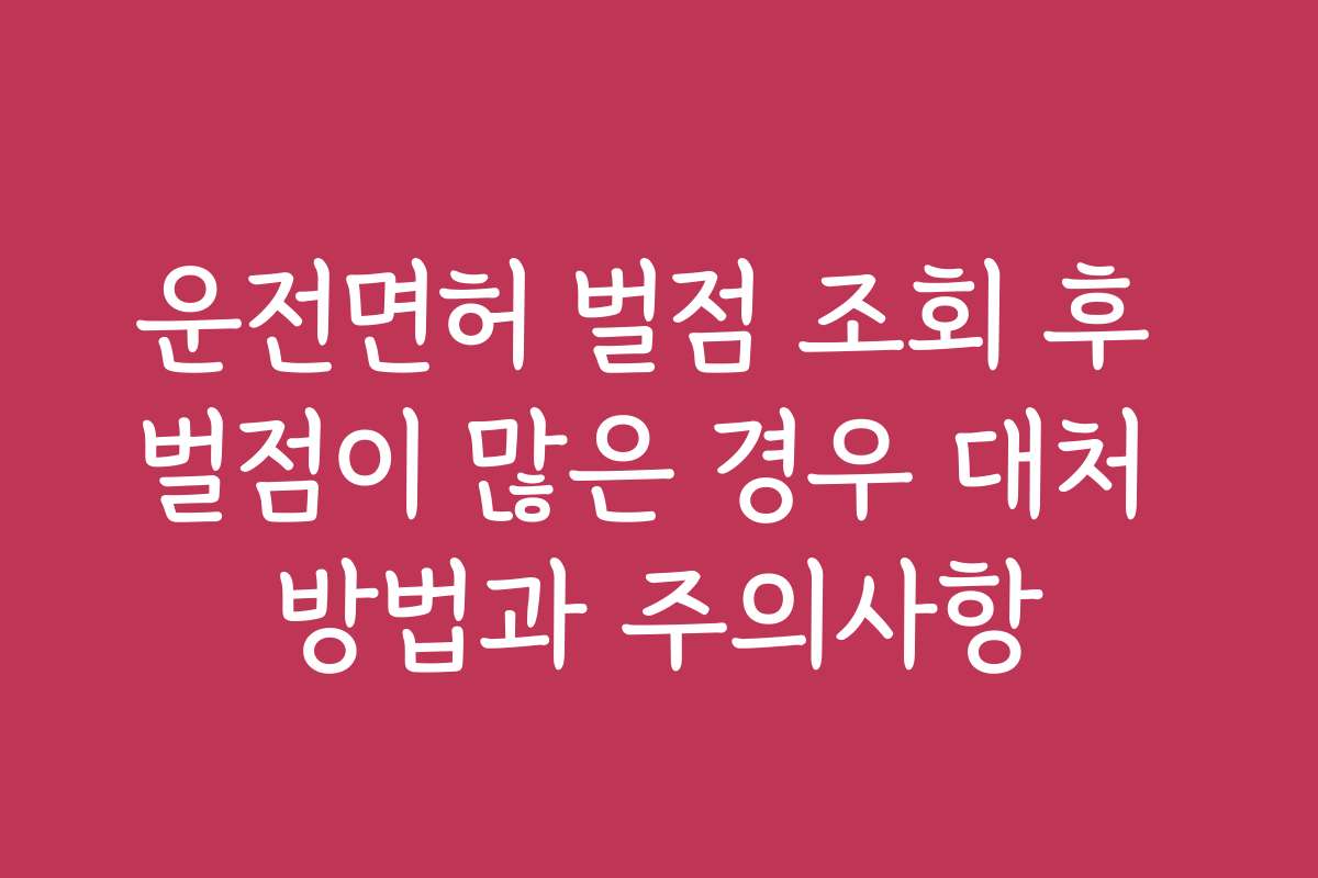 운전면허 벌점 조회 후 벌점이 많은 경우 대처 방법과 주의사항
