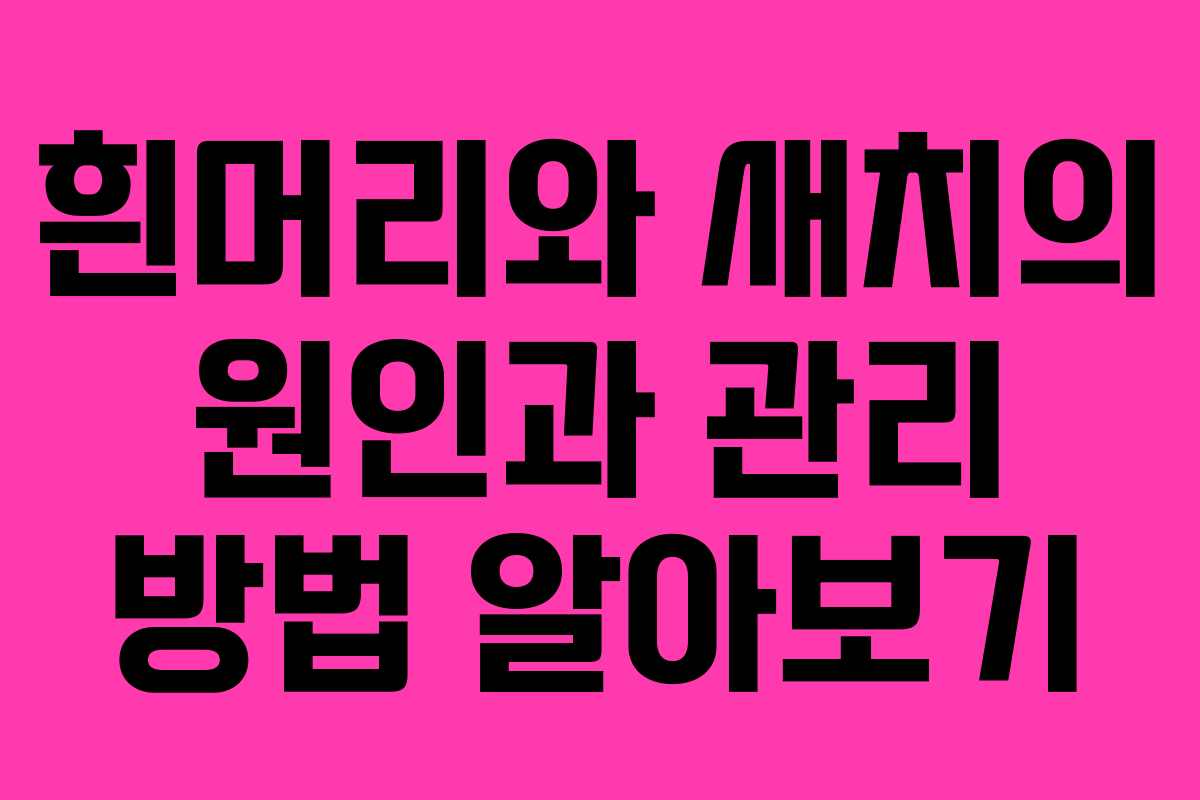 흰머리와 새치의 원인과 관리 방법 알아보기