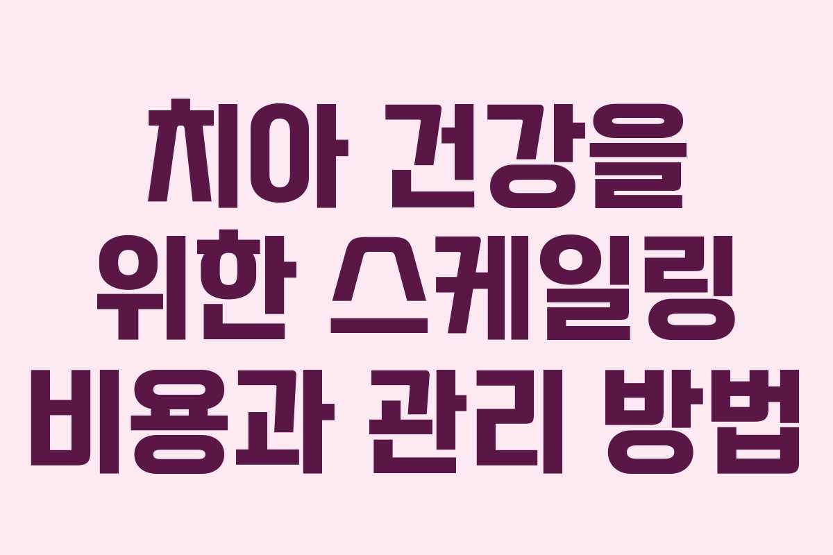 치아 건강을 위한 스케일링 비용과 관리 방법