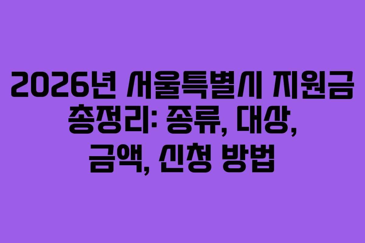 2026년 서울특별시 지원금 총정리: 종류, 대상, 금액, 신청 방법